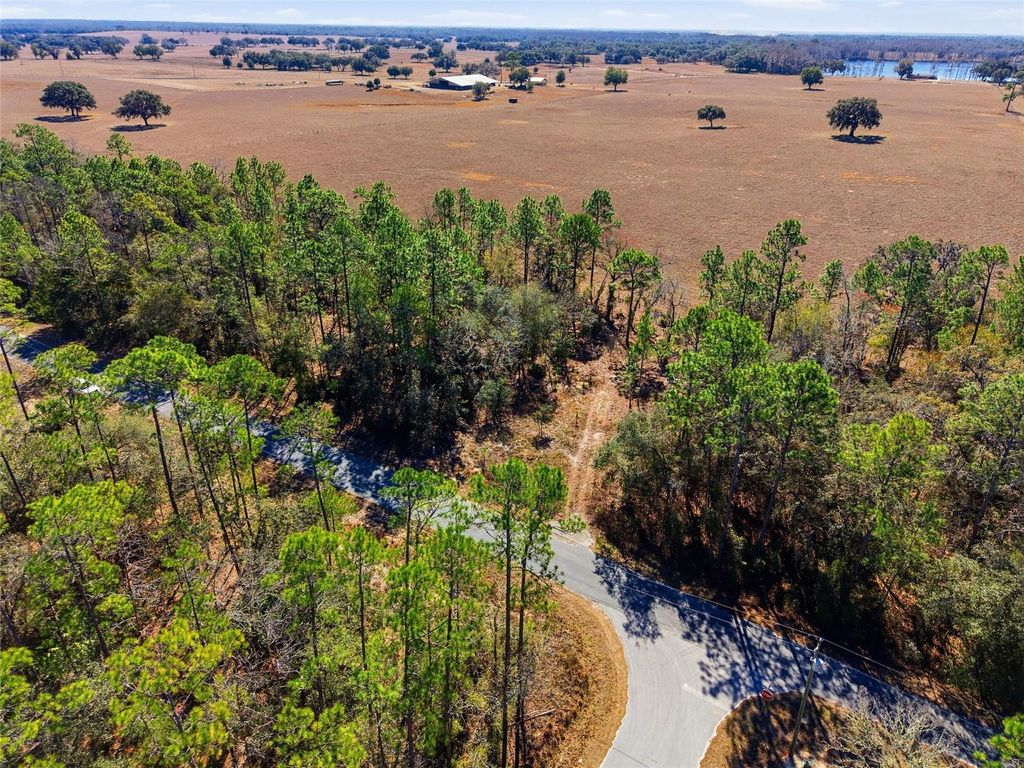 Photo of 24456 SW Tiger Lake Boulevard W, Dunnellon, FL 34431 (MLS # OM718516)