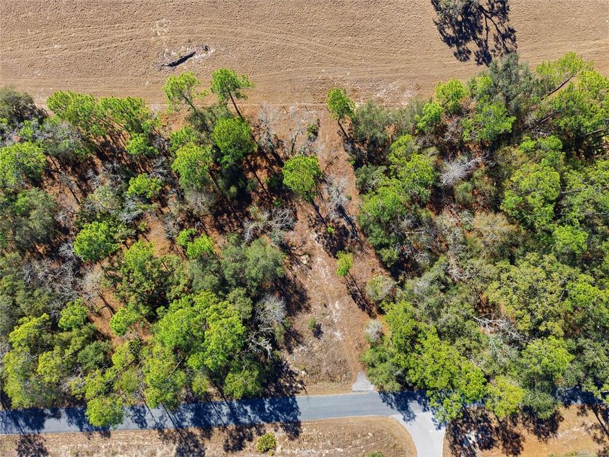 Opportunity awaits in Rainbow Lakes Estates! This just over 0.25-acre parcel backs up to a peaceful farm, offering added privacy and a desirable natural buffer. With no HOA and flexible use, this property is ideal for investors, builders, or buyers looking to secure land for a future home. Conveniently located near shopping, restaurants, and local churches, and just minutes from Rainbow Springs State Park and the Withlacoochee River for boating, kayaking, and outdoor recreation.