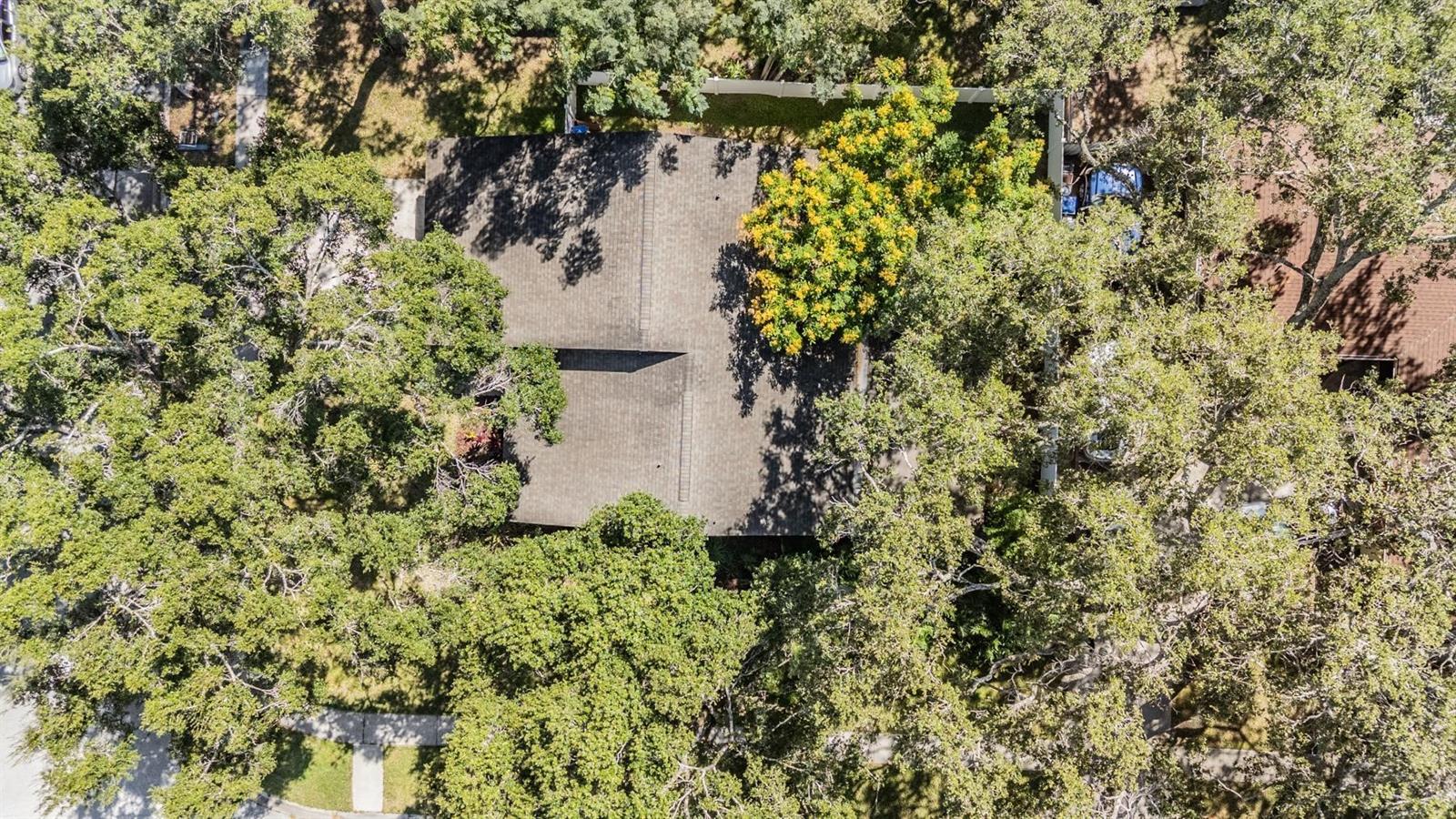SILVER FORREST - Residential