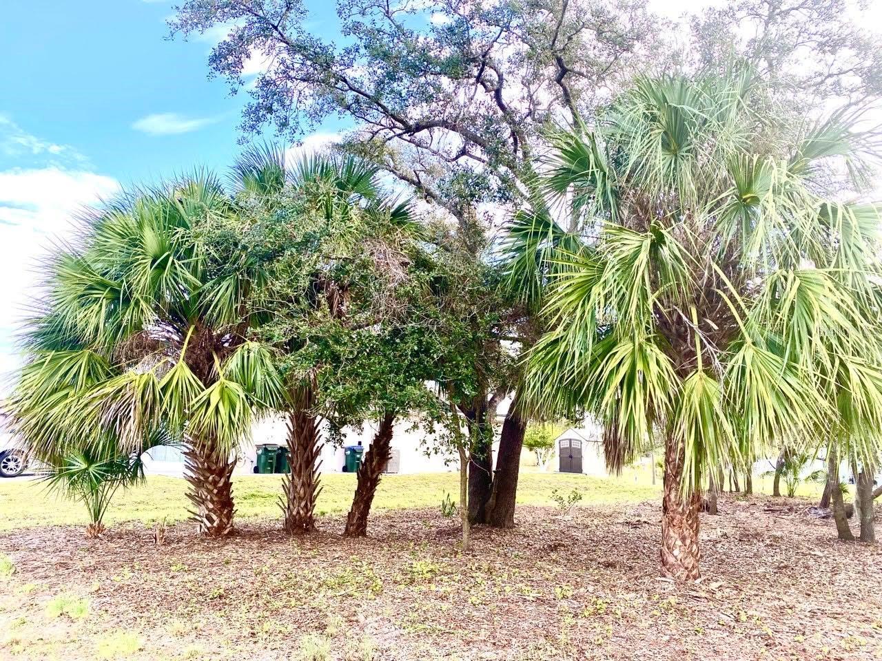 PRICE TO SELL! PUBLIC WATER AND PUBLIC SEWER CONNECTED! This Residential Lot sits in a quiet neighborhood located in the young and growing North Port, one of the most popular locations to live. NOT IN A FLOOD ZONE. There are no deed restrictions or HOA fees. Excellent location, peaceful neighborhood, minutes from I-75 & Tamiami Trail! Convenient to Florida’s best beaches, golfing, public boat ramps, marinas, shopping, physicians, water park, Atlanta Braves Spring Training Stadium, Historic Riverfront Downtown Punta Gorda & Fishermen’s Village, and a short drive to Sanibel, Venice, Fort Myers, and Boca Grande, etc. All information deemed reliable but not guaranteed; buyer to confirm all.