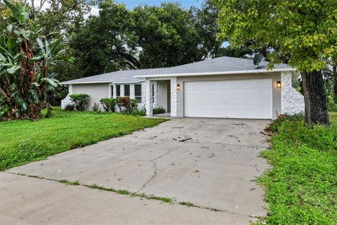 Photo of 1170 Mina Avenue NE, Palm Bay, FL 32907 (MLS # O6350844)