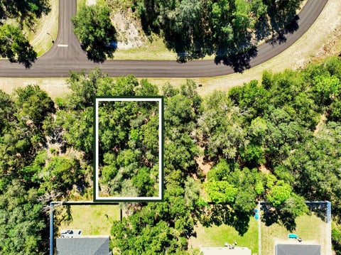 Tiny photo for Tbd SW 139th Pl Road, Dunnellon, FL 34432 (MLS # A4711015)