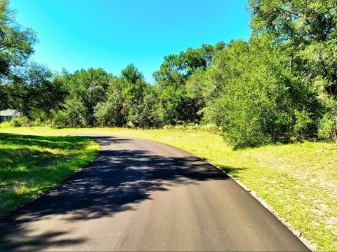 Tiny photo for Tbd SW 139th Pl Road, Dunnellon, FL 34432 (MLS # A4711015)