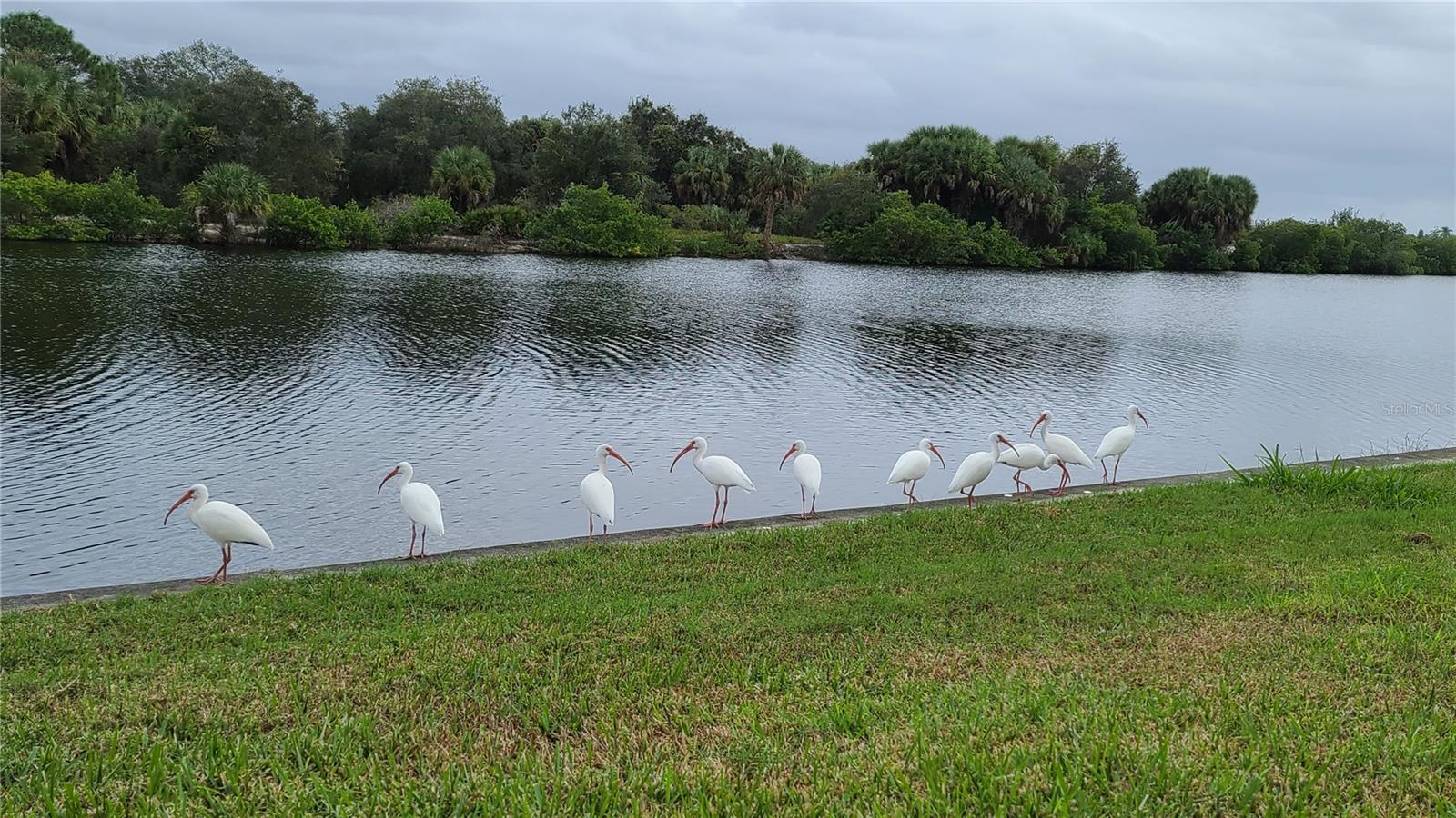 PORT CHARLOTTE 01 REP SEC 10 - Residential