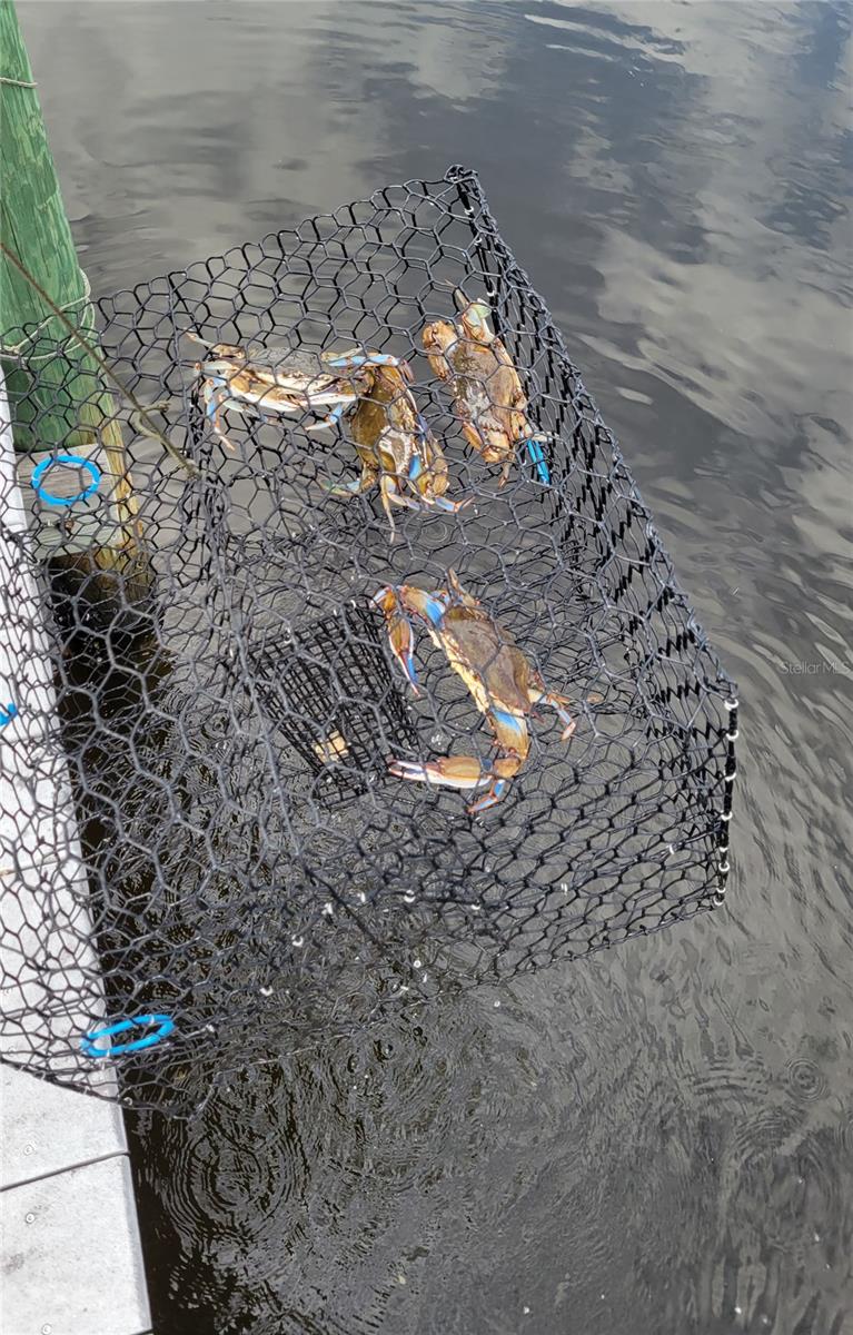 PORT CHARLOTTE 01 REP SEC 10 - Residential