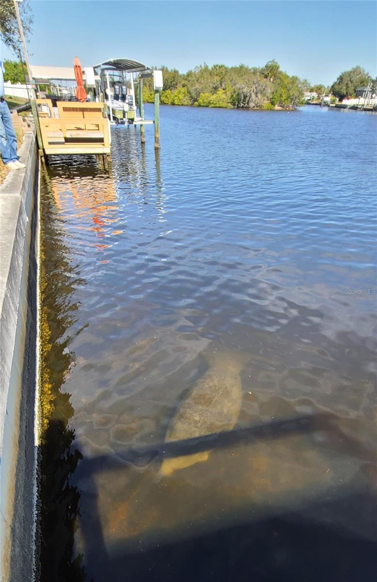 PORT CHARLOTTE 01 REP SEC 10 - Residential