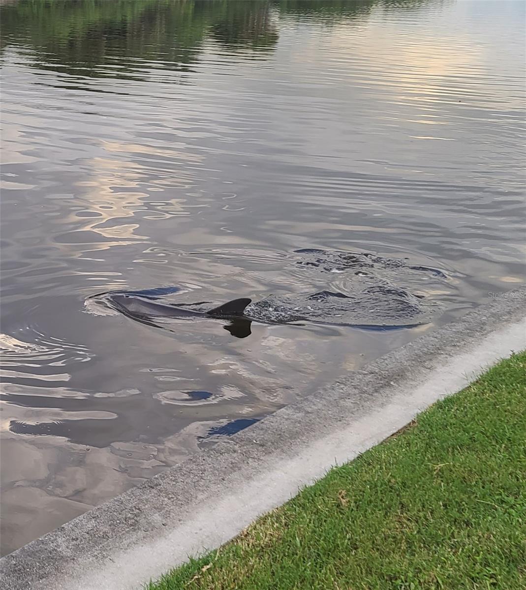 PORT CHARLOTTE 01 REP SEC 10 - Residential