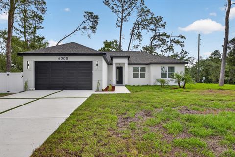 Photo of 6000 Deltona Boulevard, Spring Hill, FL 34606 (MLS # TB8512499)