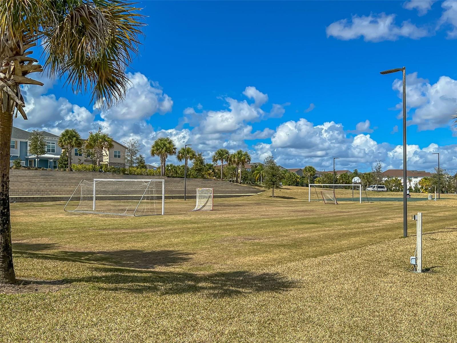 Photo 72 of 100 of 1594 CAREY PALM CIRCLE townhome