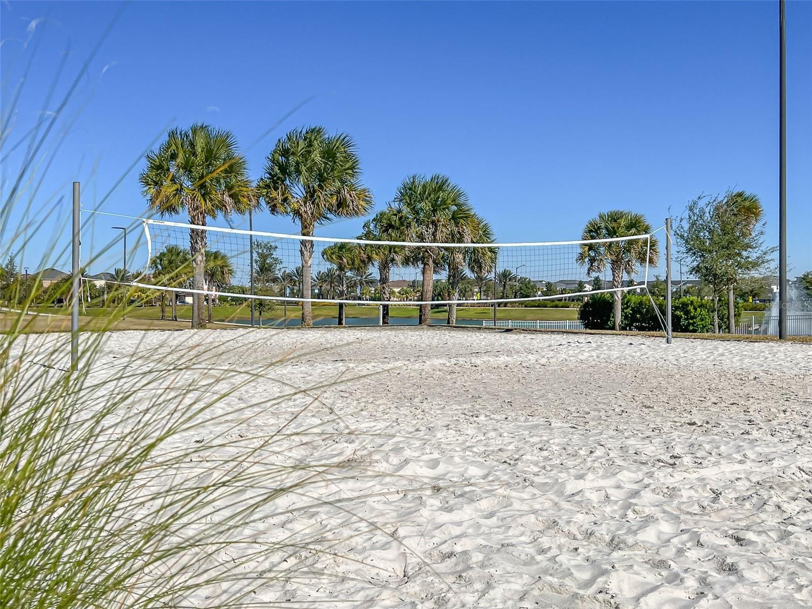 Photo 98 of 100 of 1594 CAREY PALM CIRCLE townhome