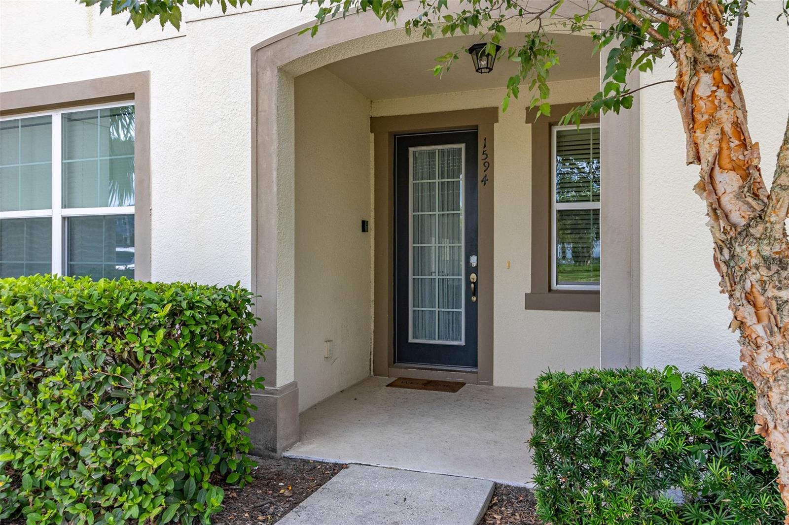 Photo 49 of 100 of 1594 CAREY PALM CIRCLE townhome