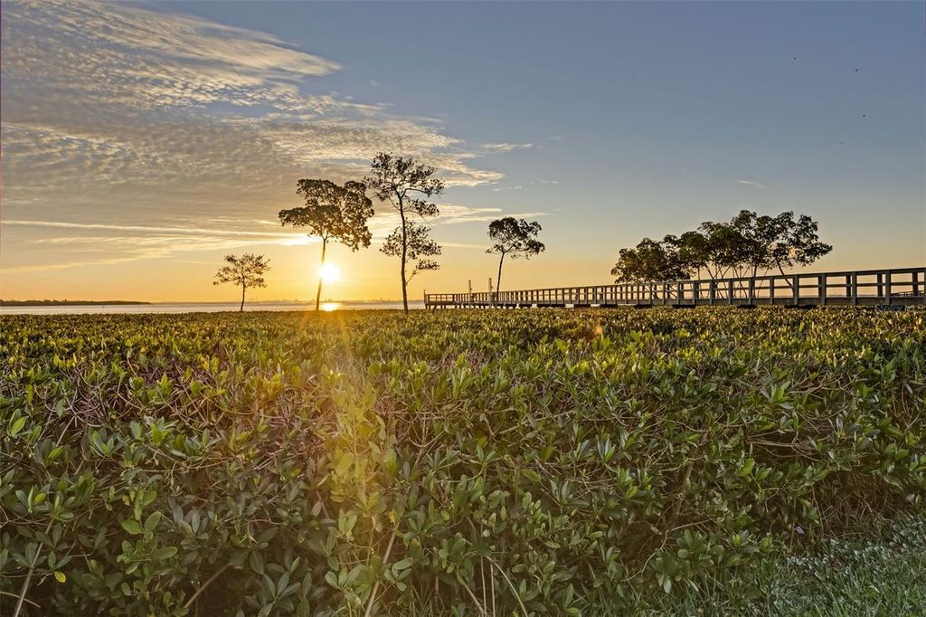 Photo of 1407 N Bayshore Drive, Safety Harbor, FL 34695 (MLS # TB8465072)