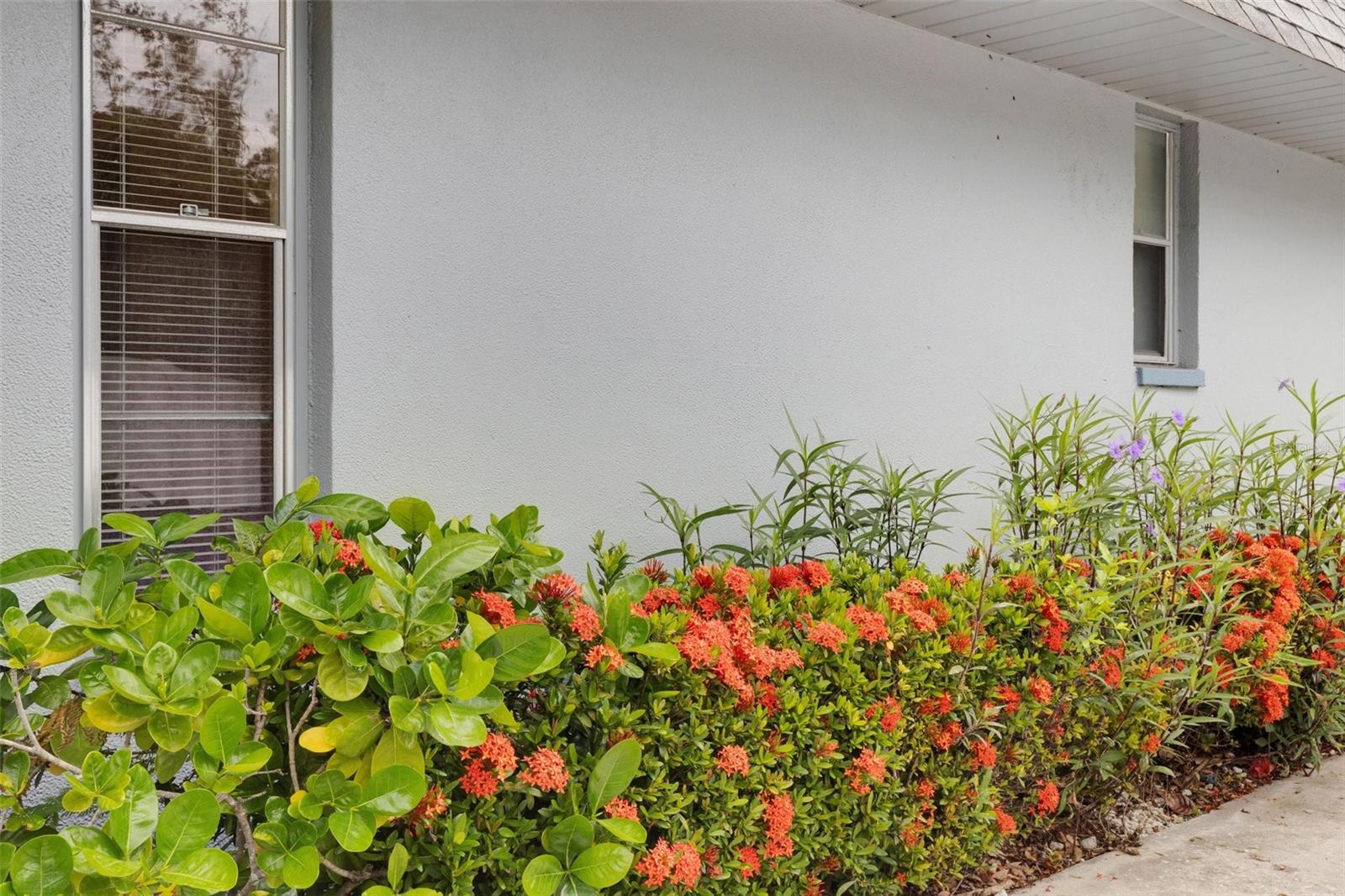 GARDENS THE - Residential