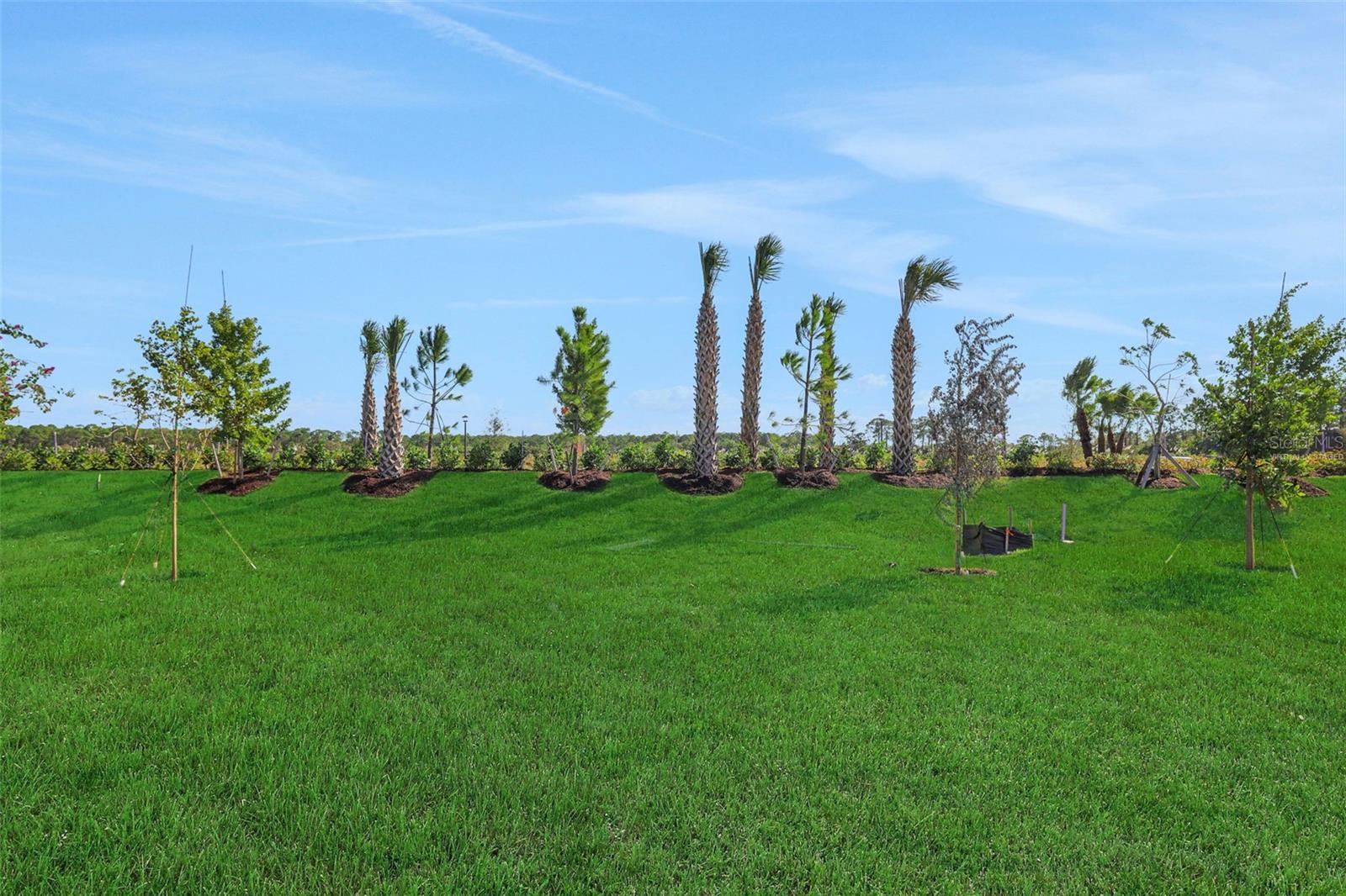 BRYSTOL NORTH AT WYLDER - Residential