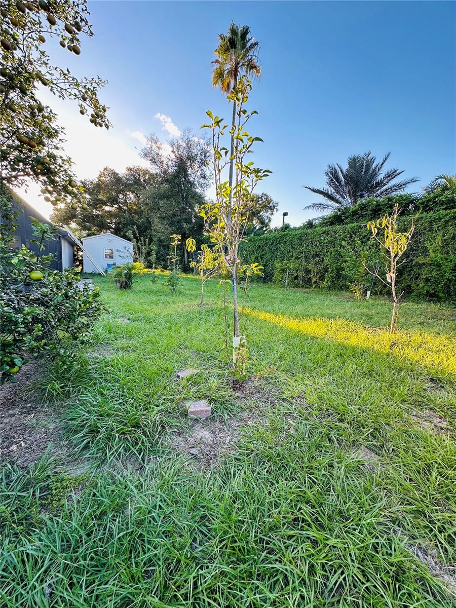 MEADOWLANDS - Residential