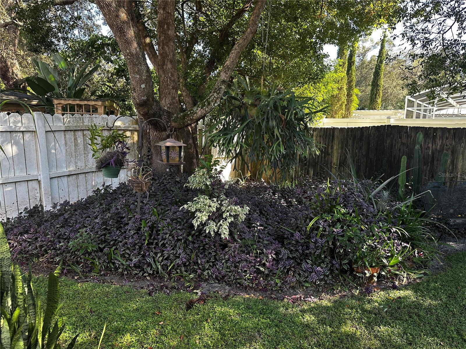 CAROL WOODS - Residential Lease