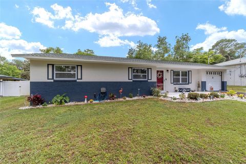 A home in BELLEVIEW