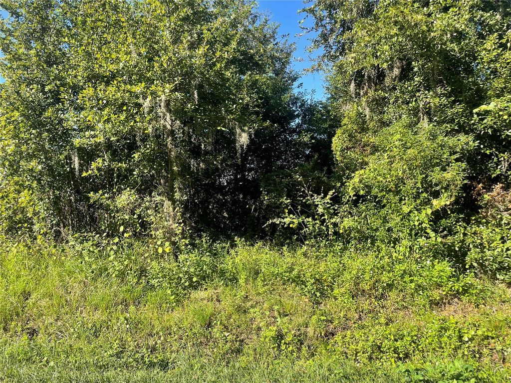 Photo of Pevetty Drive, Plant City, FL 33563 (MLS # TB8439932)