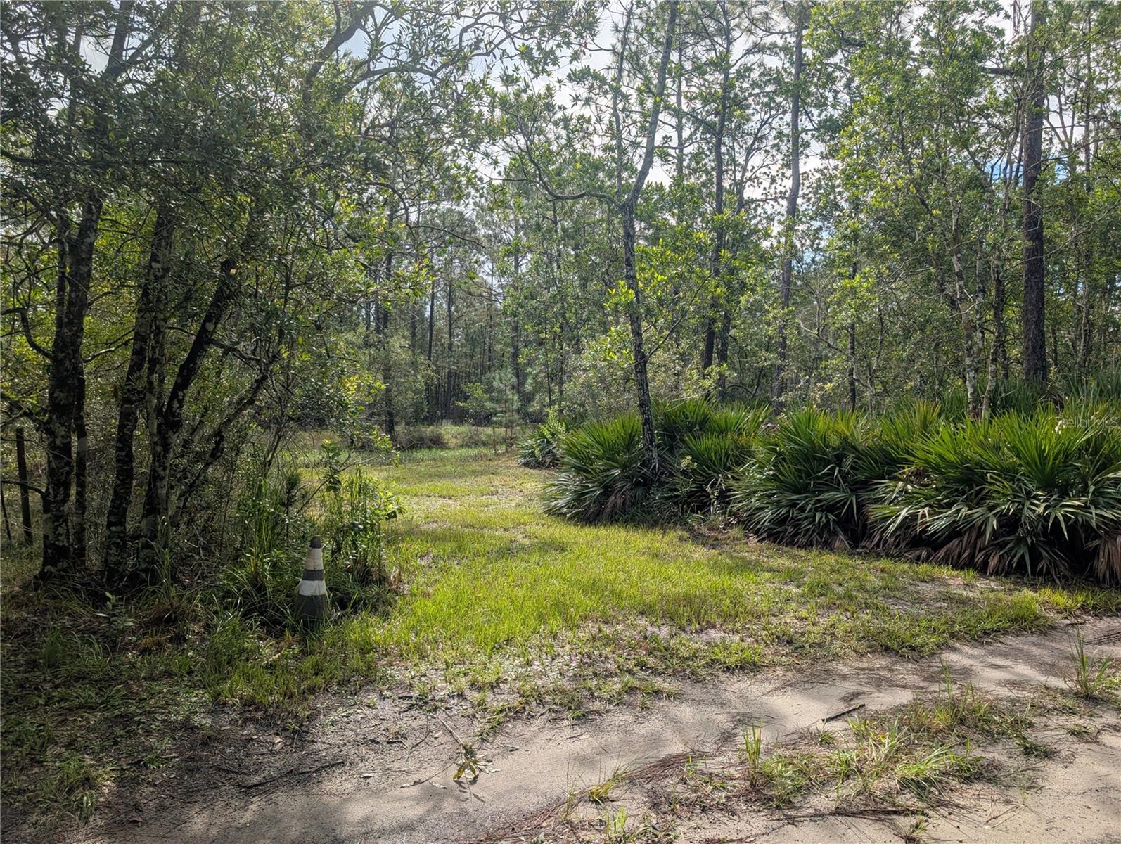 4538 SHADOW WALK LANE