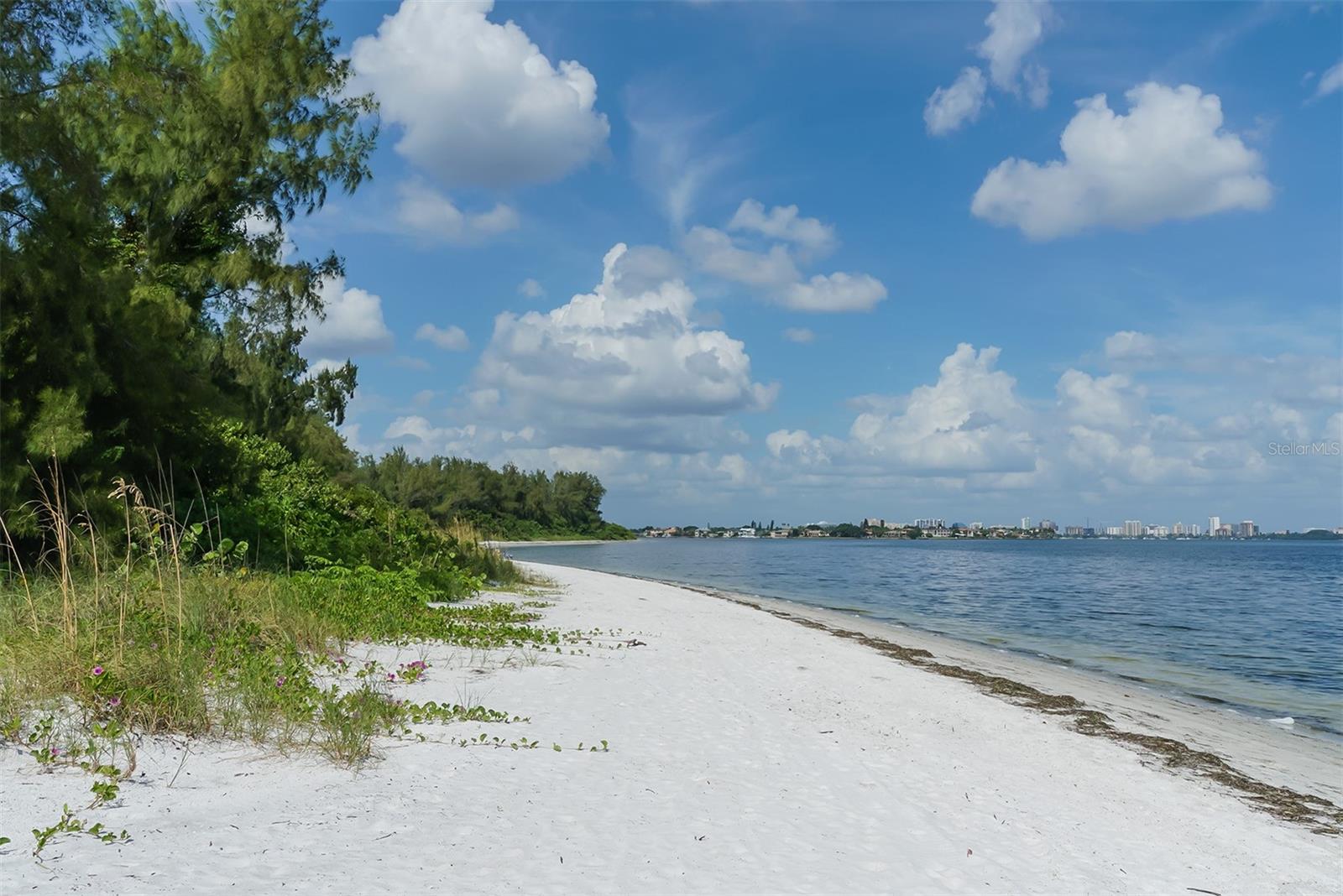 PARK RESIDENCES OF LIDO KEY - Residential