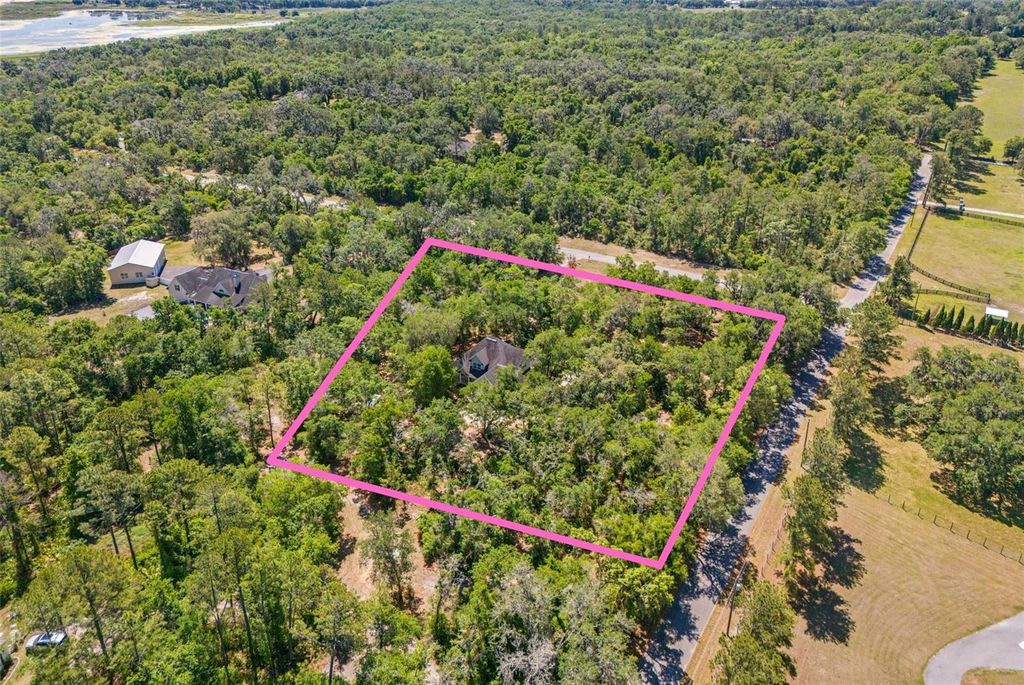 Photo of 23305 June Bug Trail, Brooksville, FL 34602 (MLS # TB8499154)