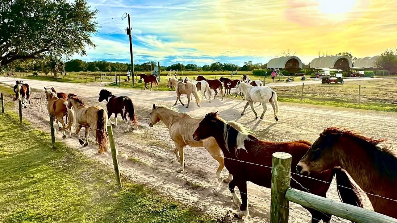 OUTDOOR RESORTS RIVER RANCH RV RESORT PH 02 - Land