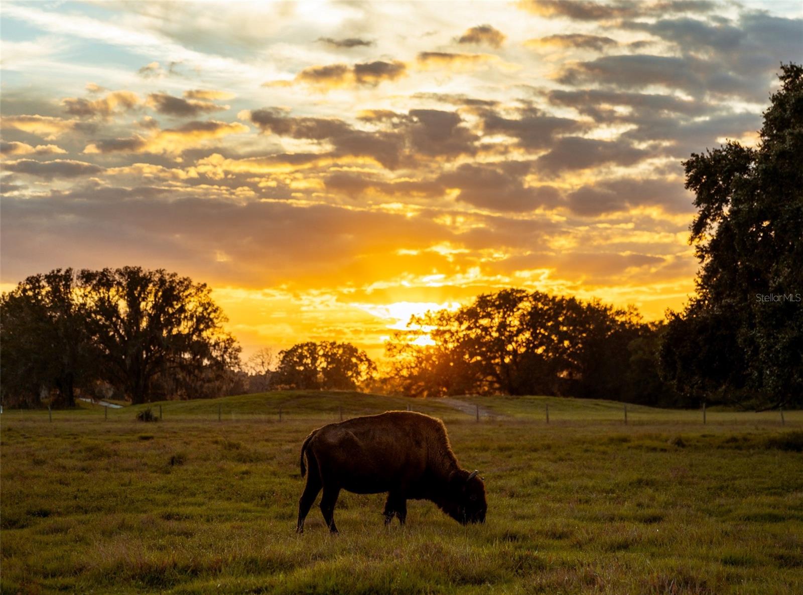 OUTDOOR RESORTS RIVER RANCH RV RESORT PH 02 - Land