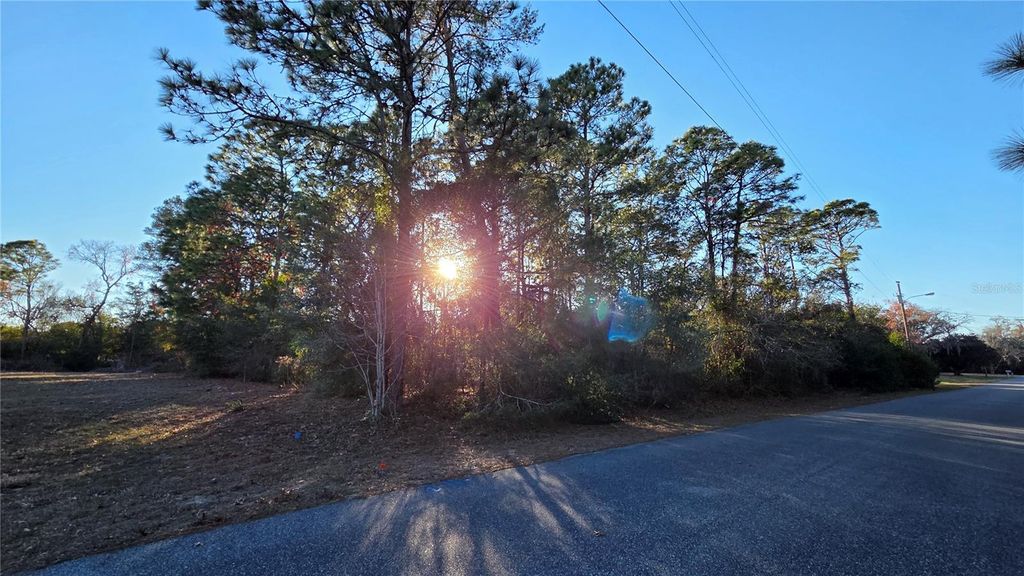 Photo of 13122 Angler Street, Spring Hill, FL 34609 (MLS # W7882819)