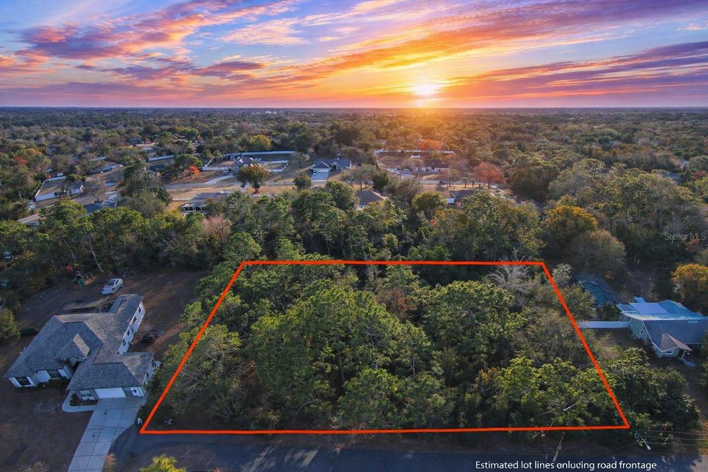 Photo of 13122 Angler Street, Spring Hill, FL 34609 (MLS # W7882819)