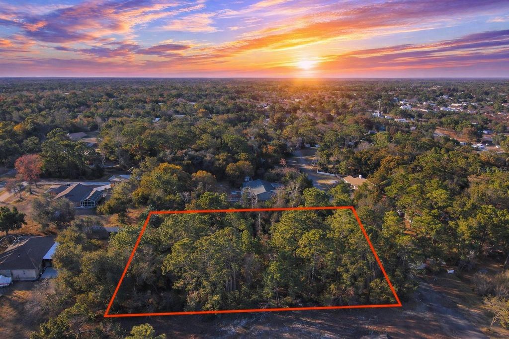 Photo of 13122 Angler Street, Spring Hill, FL 34609 (MLS # W7882819)