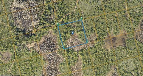 COUNTY LINE DITCH RD OAK HILL, FL 32759