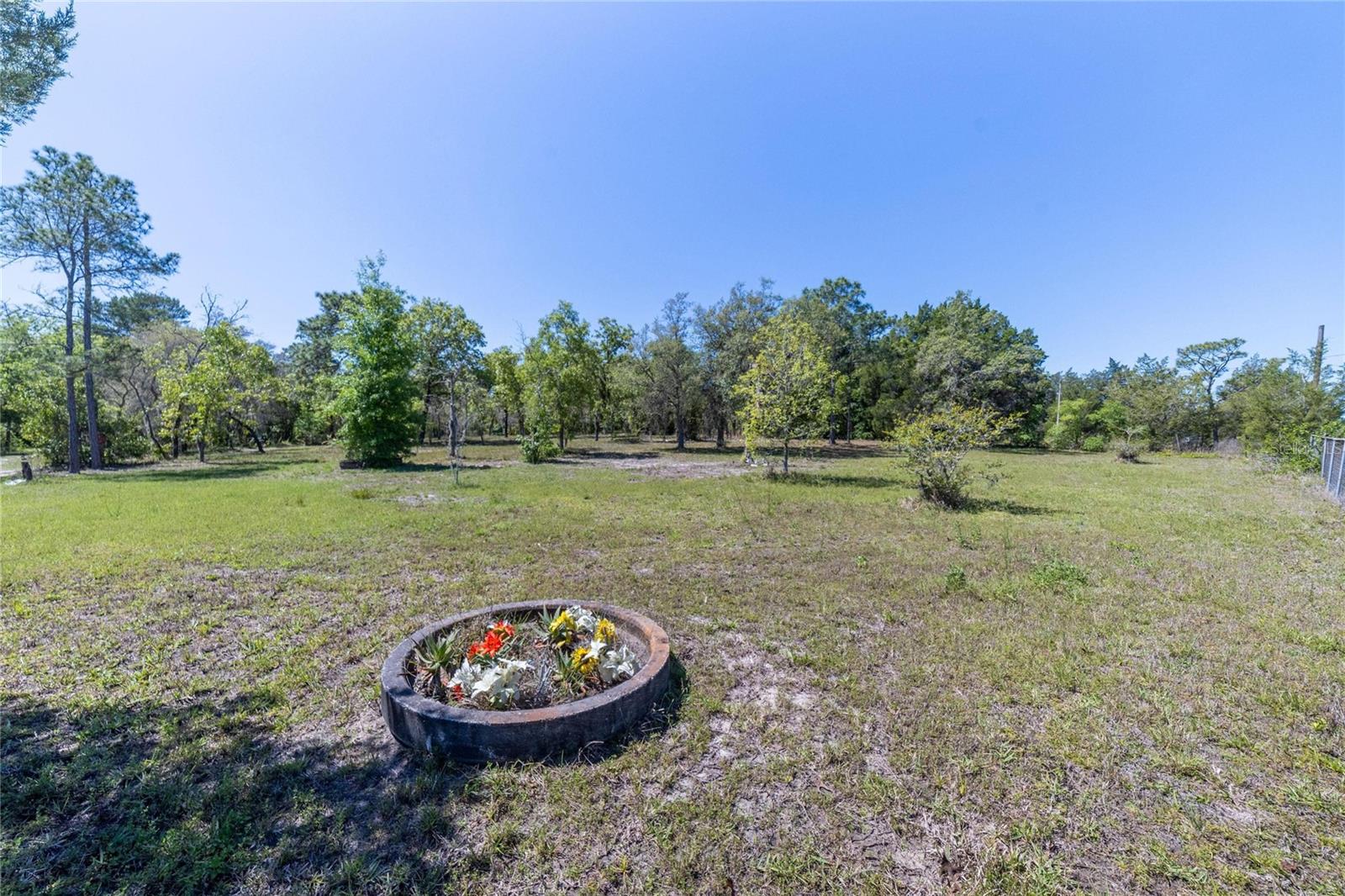 HIGHLAND FOREST - Land