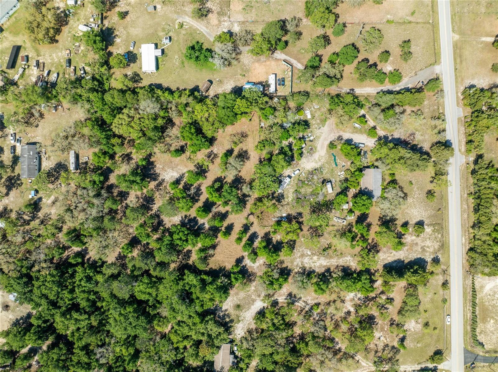 HIGHLAND FOREST - Land