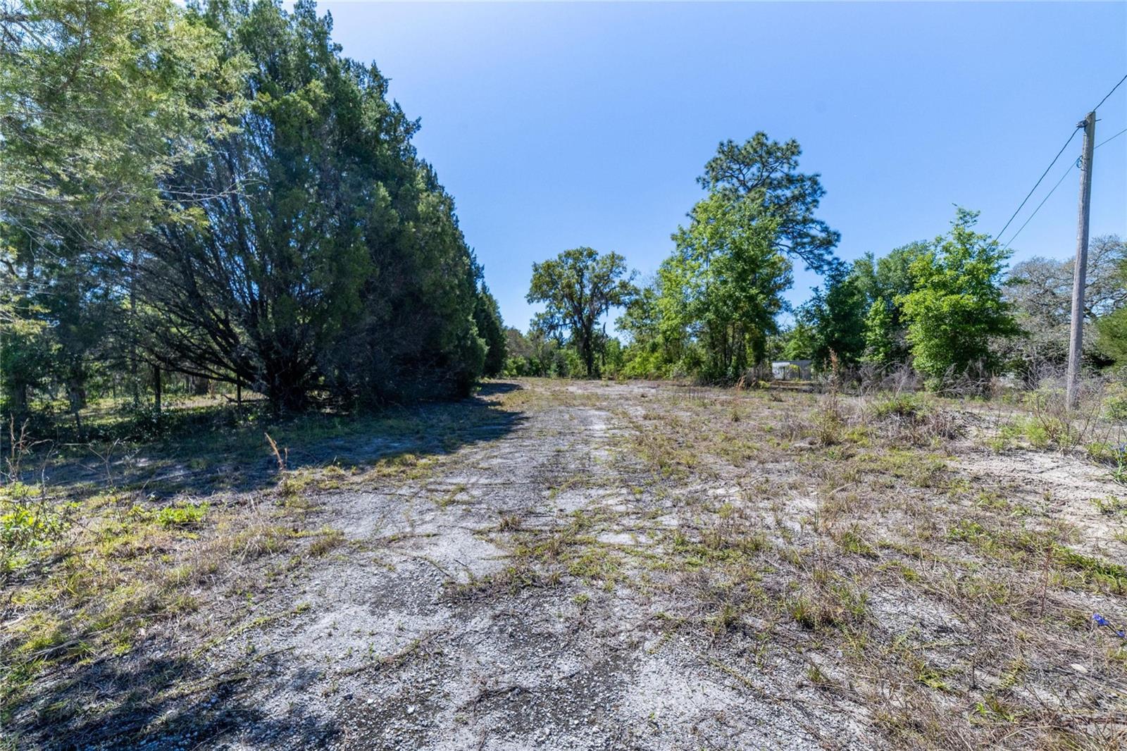 HIGHLAND FOREST - Land