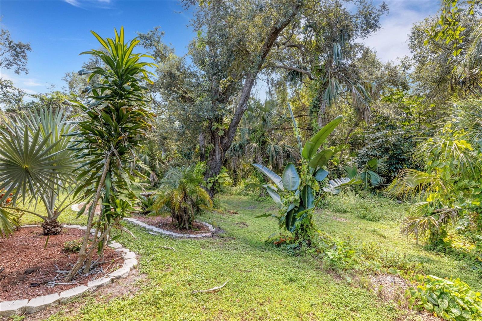 CEDAR CREEK - Residential