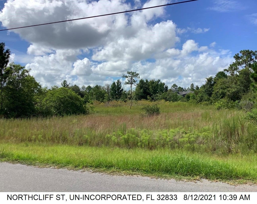 Photo of Northcliff, Orlando, FL 32833 (MLS # O6441889)