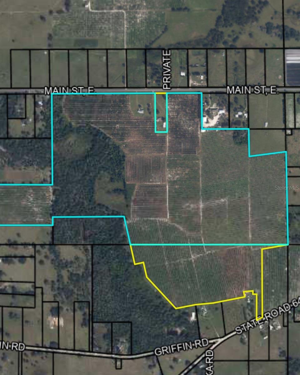 Large 265 acre parcel with access on 2 major roadways and a third local connecting road (3,418 approximate feet of road frontage includes 2518ft on Main Street, 754ft on Hollandtown Road, and 106ft on SR64E)! Currently used as two homesites and agriculture - call Hardee County Community Development for available options!