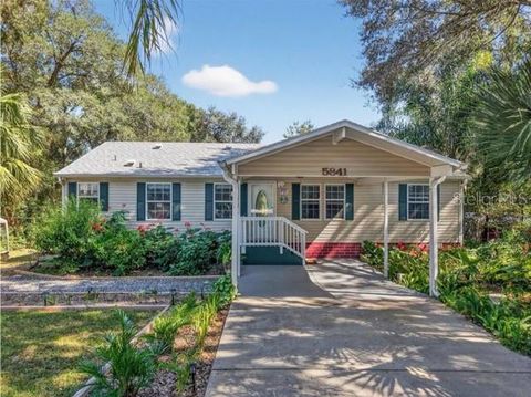 5841 SE 164TH AVENUE OCKLAWAHA FL 32179