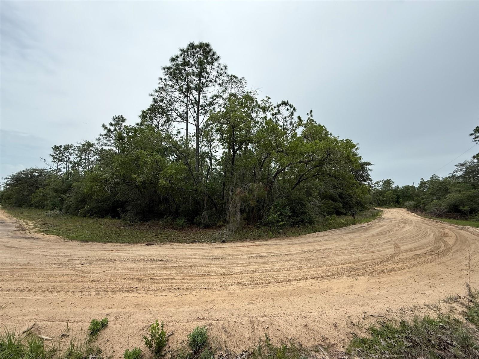 Do not miss out on this 0.23 ACRE lot in the growing city of Interlachen. Located within minutes of schools, restaurants, diners, and parks. An easy commute to Gainesville or Palatka and less than an hour from the beach. Investing in land in Florida is a wise choice for your future, whether you're looking to build your dream home, a vacation getaway, a rental property, or simply let the land appreciate as a valuable long-term asset to resell at a profit in the future.