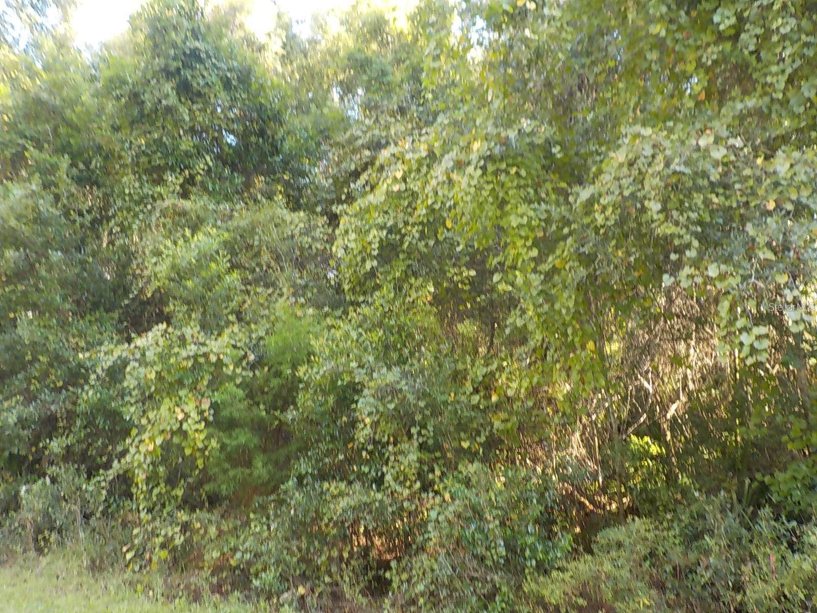 CITRUS SPGS UNIT 20 - Land