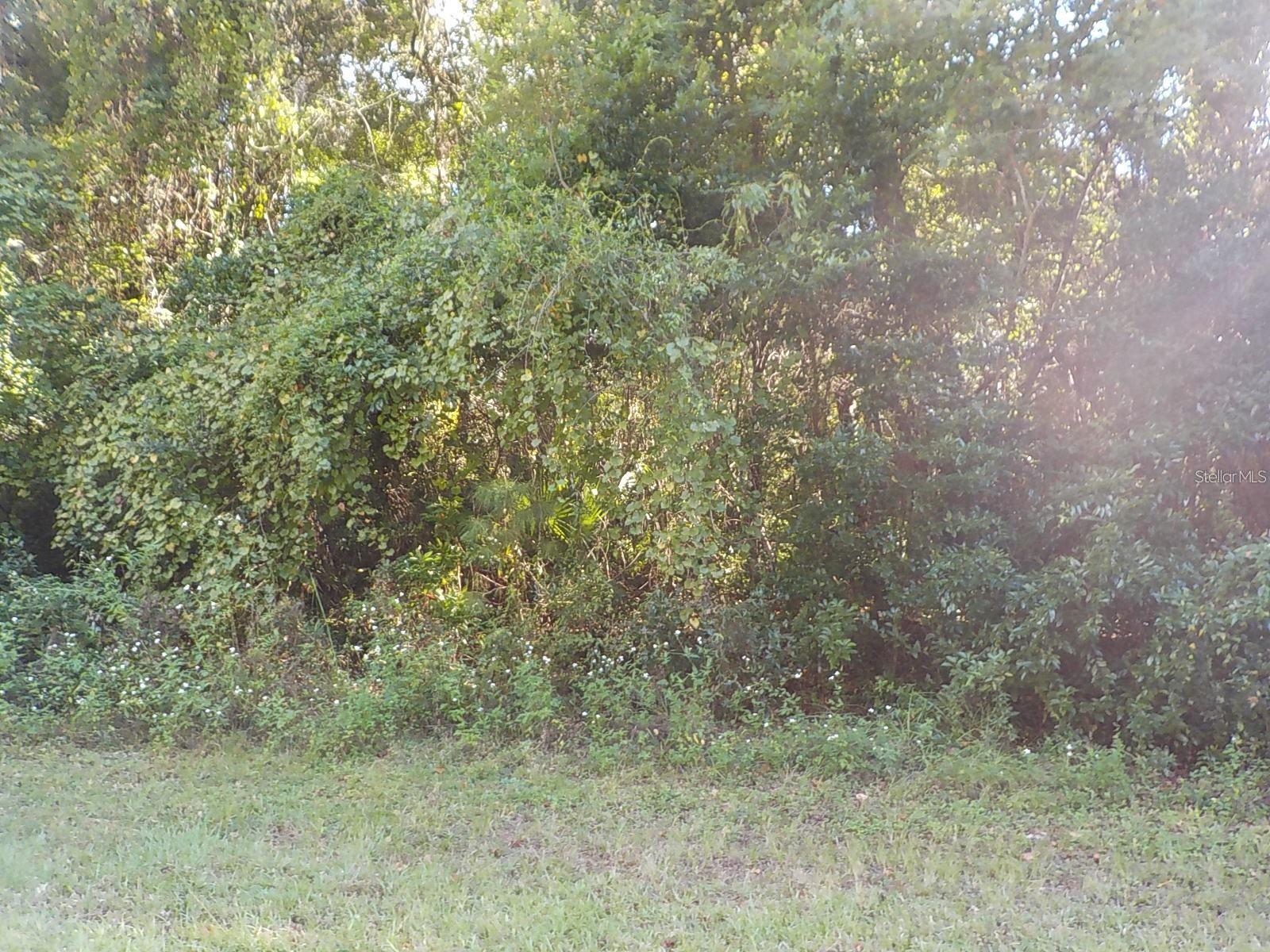 CITRUS SPGS UNIT 20 - Land