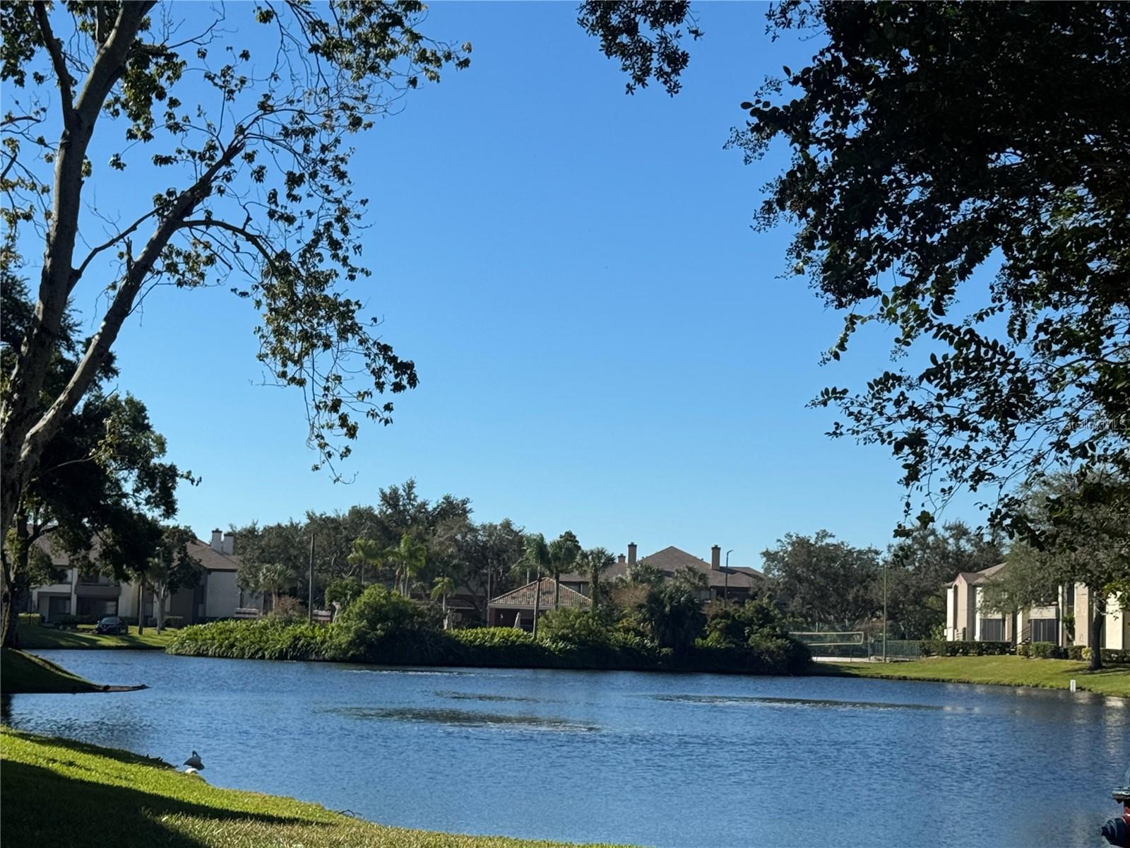 ITOPIA PRIVATE RESIDENCES CONDO - Residential Lease