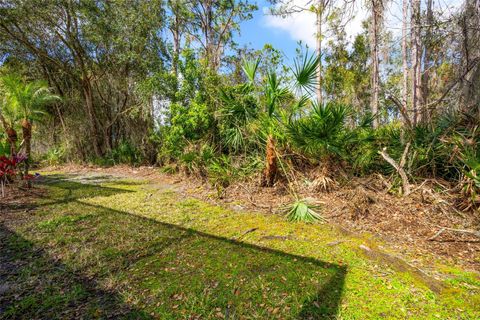 A home in WESLEY CHAPEL