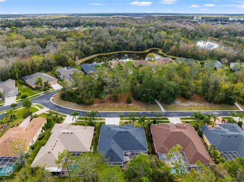 A home in WESLEY CHAPEL