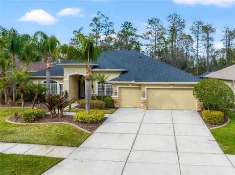 A home in WESLEY CHAPEL