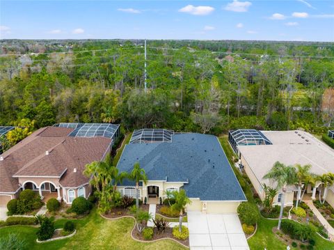 A home in WESLEY CHAPEL