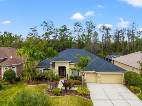 A home in WESLEY CHAPEL