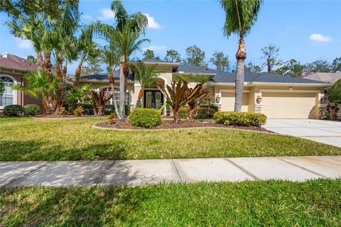 A home in WESLEY CHAPEL