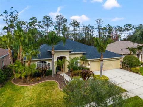 A home in WESLEY CHAPEL