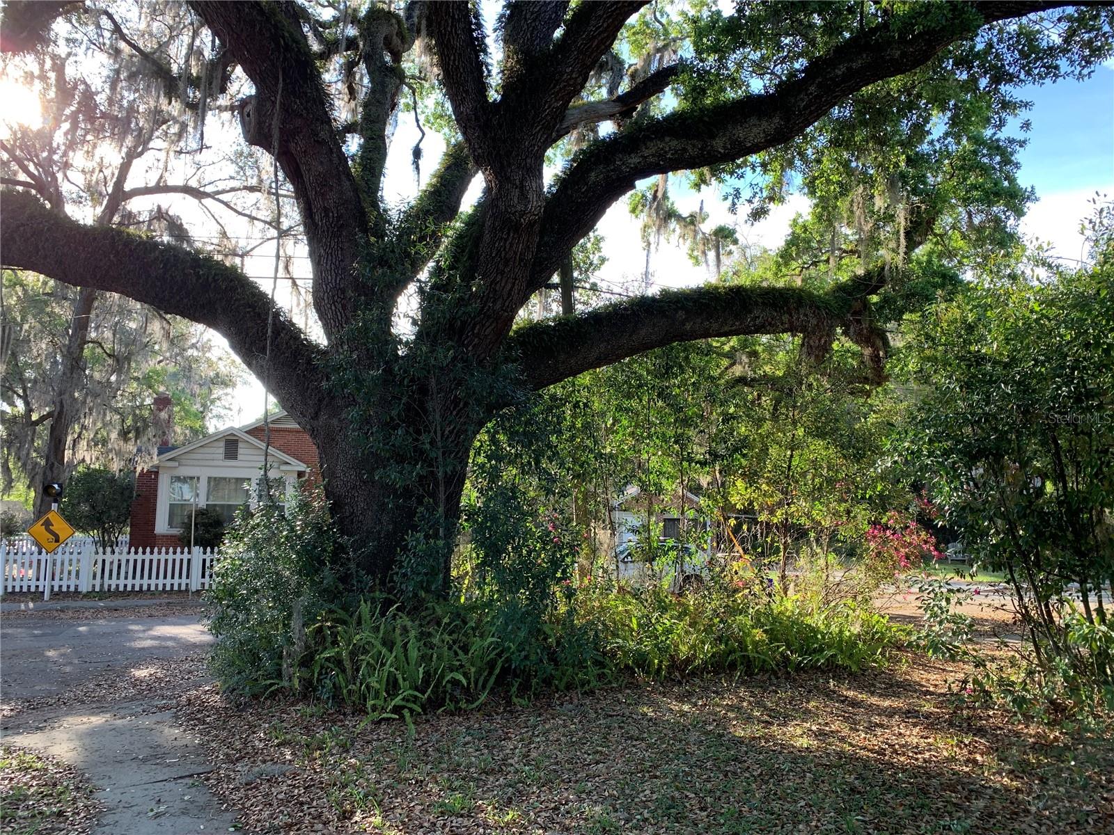 ELLIOT & LENGLE ADD TO GVILLE - Residential